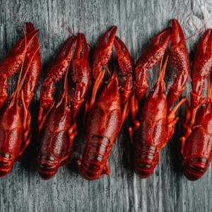 Tôm Hùm Đất Xông Nhiệt Cấp Đông Size Trung